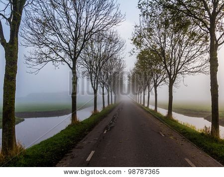 Country road on a dyke