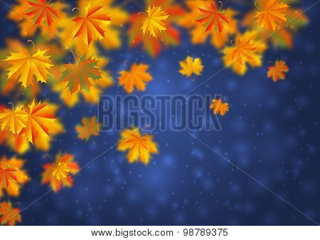 Autumn Leaves Background