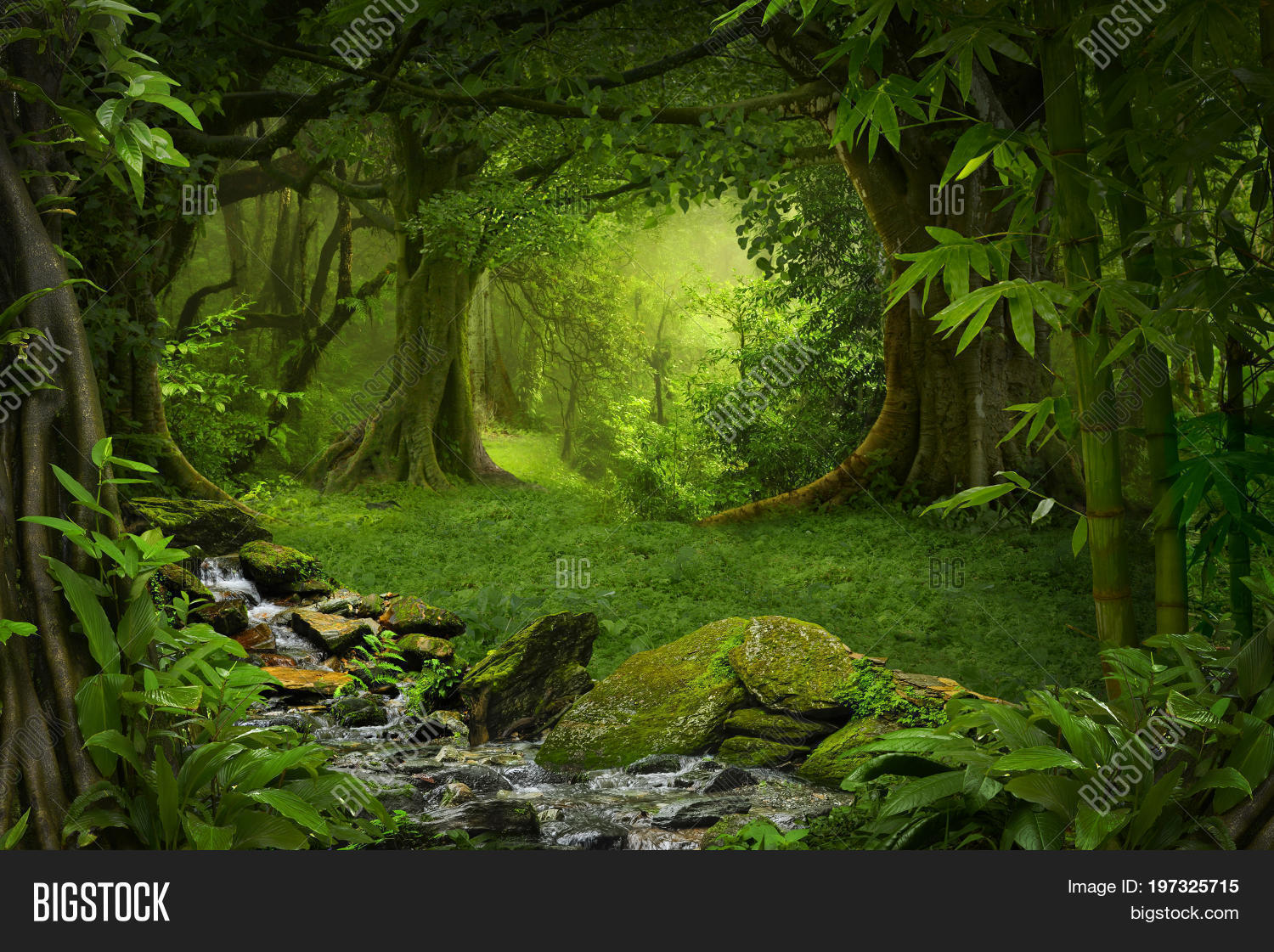 Deep Jungle South East Image & Photo (Free Trial) Bigstock