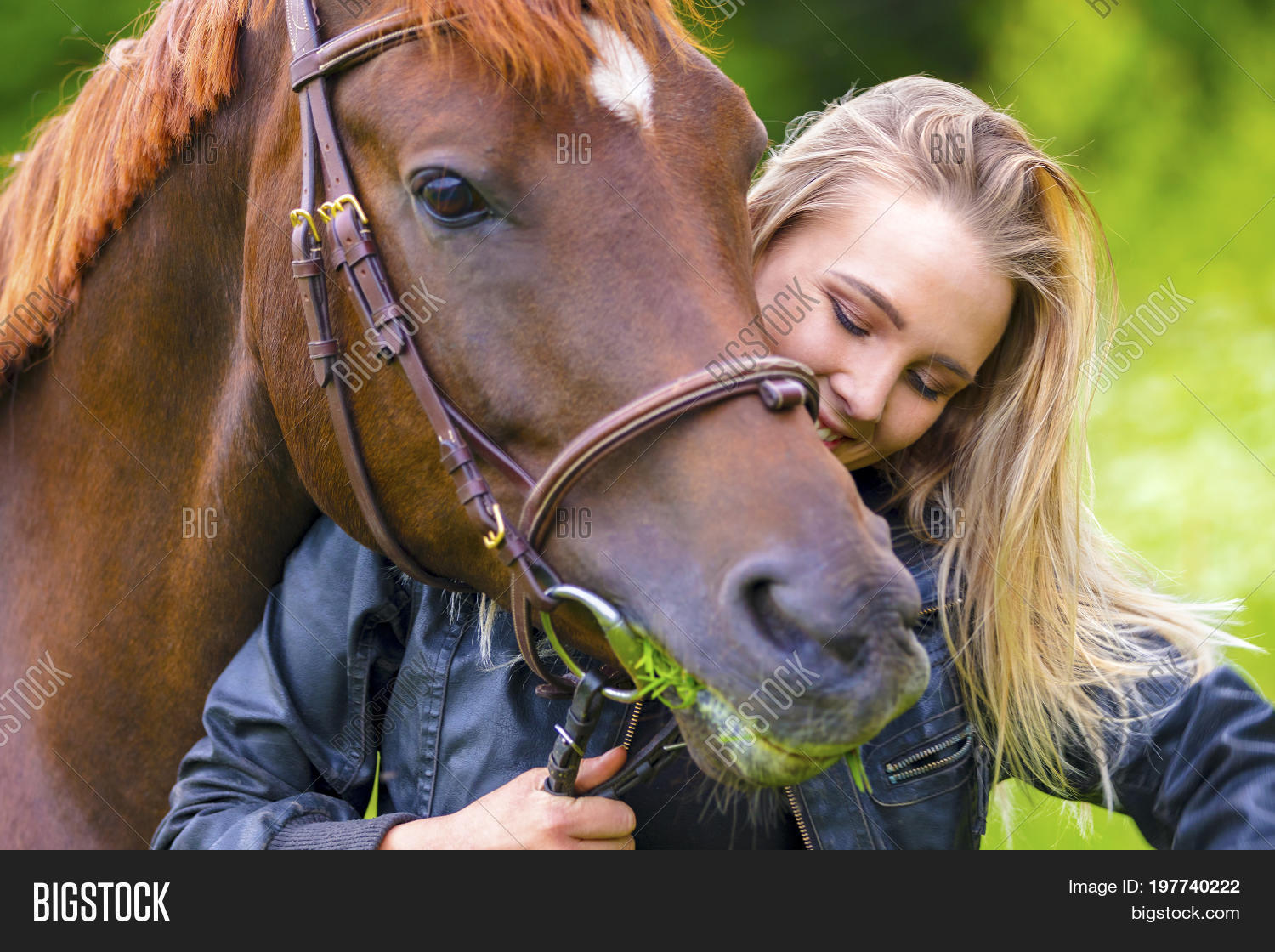 Девушка дал лошадь. Девушка дал лошадь. Девушка на лошади гифки. Девушка кормит лошадь. Девушка дал лошадь.