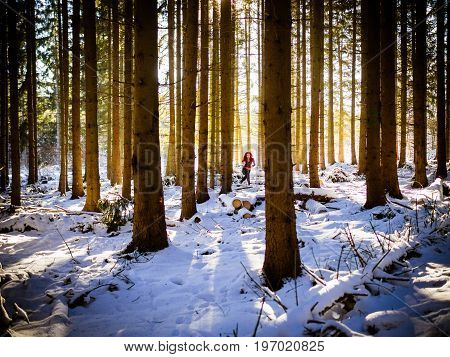 The red-haired woman runs through the forest