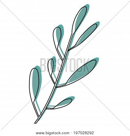 watercolor silhouette of hand drawing leaf oval shape with several ramifications vector illustration