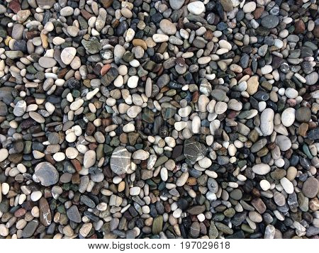 Coastal sea pebbles, different shapes and shades