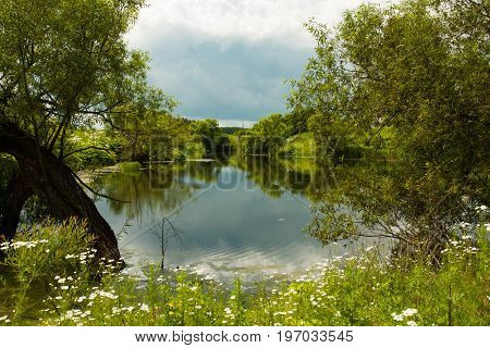 Beautiful Summer Landscape With Reflection Pond River Trees And Meadow Flowers In Sunny Day In Village.