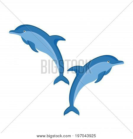 Dolphin Vector Icon