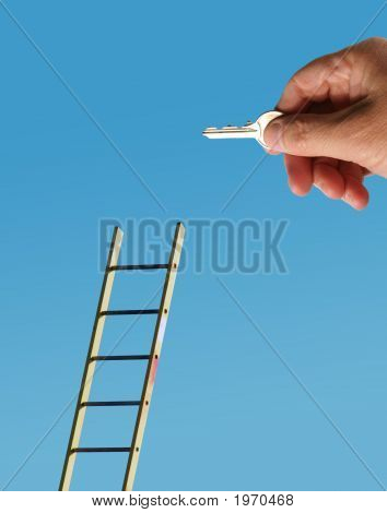 이그제큐티브 제공