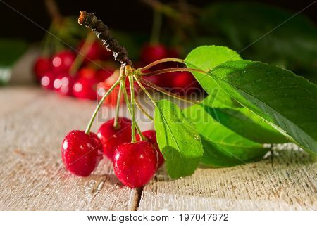 branch of red ripe cherries close-up on a white wooden table on a raspberry background of berries with leaves. Selective focus