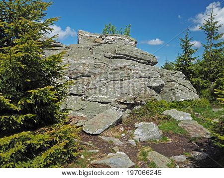 Rock And Stones In Jeseniky Mountain Czech Republic  Spruce Tree Forest