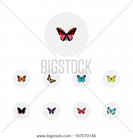 Realistic Sky Animal, Danaus Plexippus, Lexias And Other Vector Elements