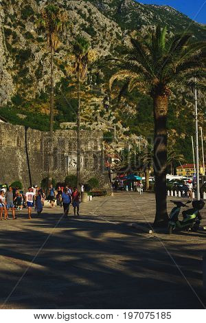 Ancient fortress of Kotor in Montenegro. Tourists and visitors of the fortress walk along the stone pavement along the fortress wall in the shade of tropical palms.