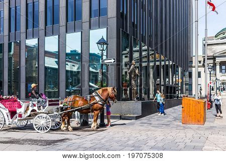 Montreal, Canada - May 28, 2017: Old Town Area With Tour Guide On Road In Horse Carriage Buggy Durin
