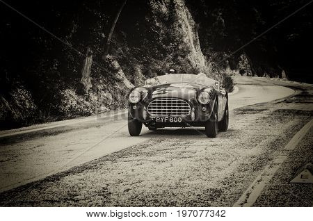 GOLA DEL FURLO, ITALY - MAY 19: A.C. ACE 1955 on an old racing car in rally Mille Miglia 2017 the famous italian historical race (1927-1957) on May 19 2017