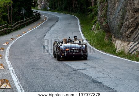 GOLA DEL FURLO, ITALY - MAY 19: A.C. ACE 1955 on an old racing car in rally Mille Miglia 2017 the famous italian historical race (1927-1957) on May 19 2017