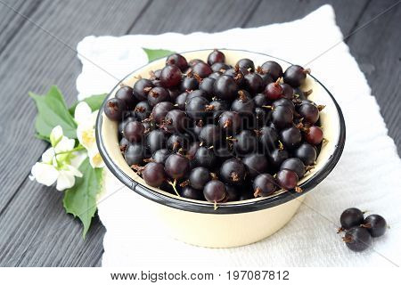 Delicious fresh black currants in plate view
