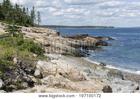 Schoodic Point Coast