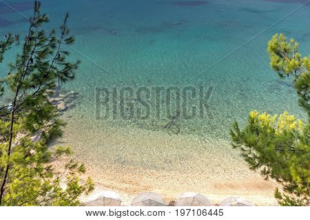 Panoramic view of Elia Beach at Sithonia peninsula, Chalkidiki, Central Macedonia, Greece