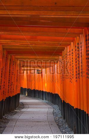 KYOTO JAPAN - AUGUST 4 2015 : Thousand of torii gates (Senbon Torii) at Fushimi Inari Taisha Shrine. A famous historic site and tourist destination in Kyoto Japan.