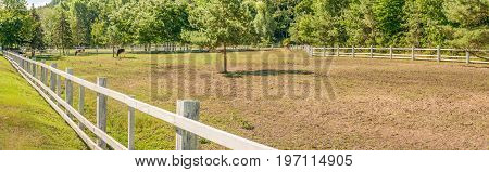 Panorama of a place for summer walks and pastures for cows. We see a large corral for summer cattle walking in Mezhyhiria near Kiev.