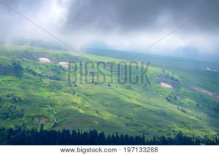 Landscape of subalpine mountain meadow and forest in Caucasus, Russia