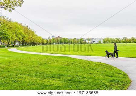 Quebec City, Canada - May 30, 2017: Man Walking Dog On Anneau De Rollerblades In Terrain Des Sports,