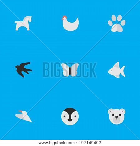 Elements Foot, Cock, Flightless Bird And Other Synonyms Cock, Flightless And Crane.  Vector Illustration Set Of Simple Fauna Icons.