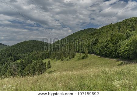Sunny Summer Day Over Lesnica Village In National Park Pieniny