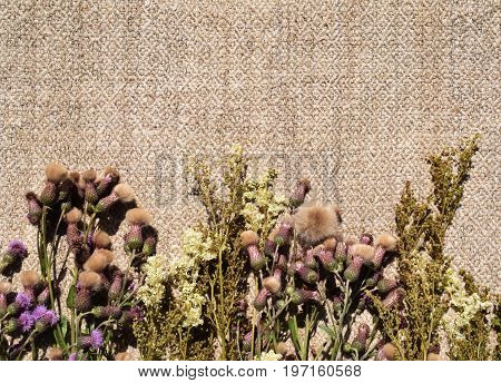 Bright wild flowers on a brown background