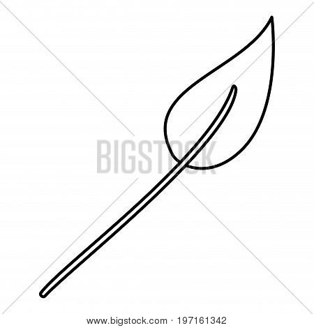 sketch contour of lanceolate leaf plant vector illustration