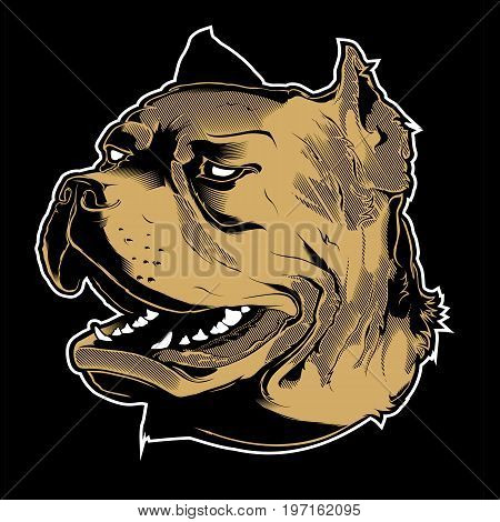 Pit bull dor head Illustration on black background