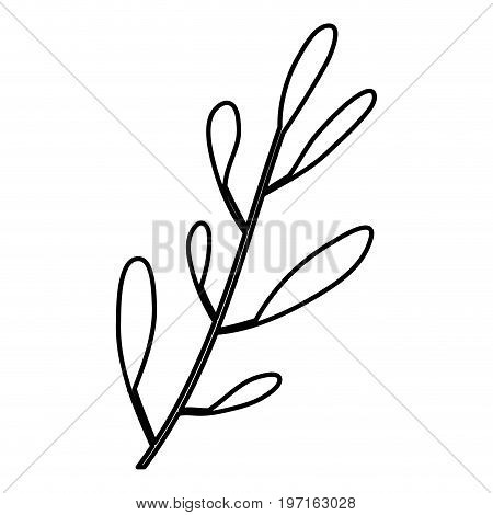 sketch contour of hand drawing closeup leaf oval shape with several ramifications vector illustration