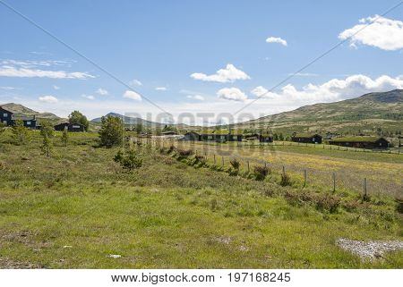 Rondane national park in Norway in summer