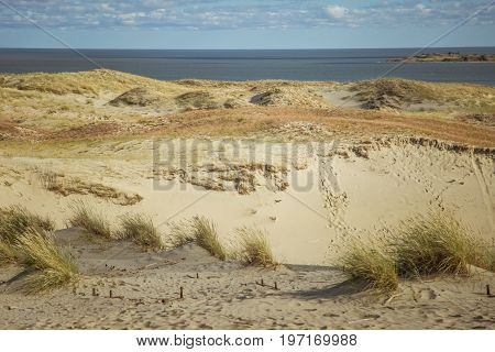 A beautiful sand dunes in a Neringa National park. Travel photo
