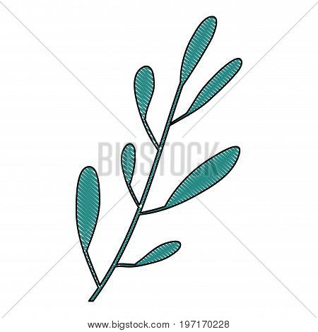 crayon silhouette of hand drawing closeup green color leaf oval shape with several ramifications vector illustration