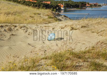 A beautiful sand dunes in a Neringa National park. Travel photo