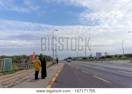 Israel. - February 16.2017. Pilgrims on the road from Qasr al-Yahud to Jerusalem. Planting of palm trees.