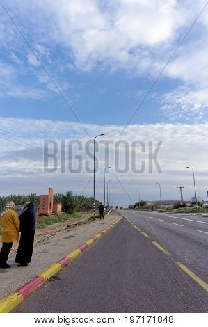 Israel. - February 16.2017. Pilgrims on the road from Qasr al-Yahud to Jerusalem. Planting of palm trees.
