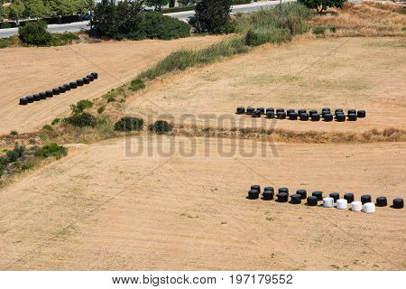 Strawbales In Plastic Wrap