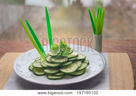 Fresh cucumber salad on a flat porcelain plate