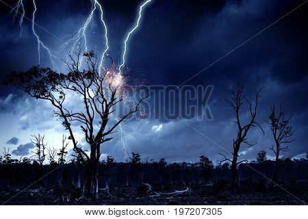 Bright lightning hit the tree