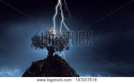 Bright lightning hit the tree