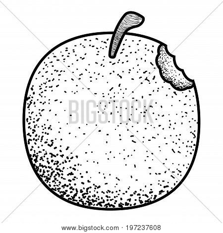 Isolated Vintage Apple