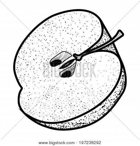 Isolated Vintage Cut Apple