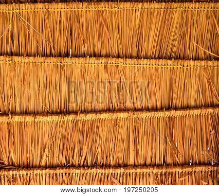 Blady grass roof, a close up photo image of blady glass roof present a detail of pattern and texture on blady grass that tie together for make a roof or wall can use for a back ground or wallpaper