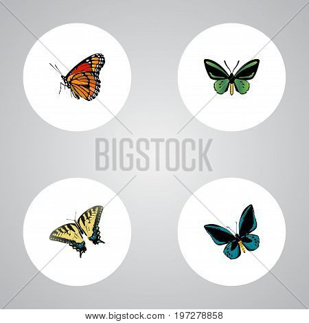 Realistic Checkerspot, Demophoon, Tropical Moth And Other Vector Elements