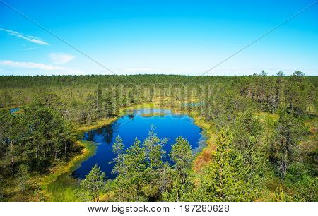 A Viru Raba Swamp Lake In Estonia.