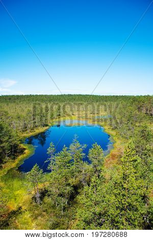A Viru Raba Swamp Lake In Estonia.