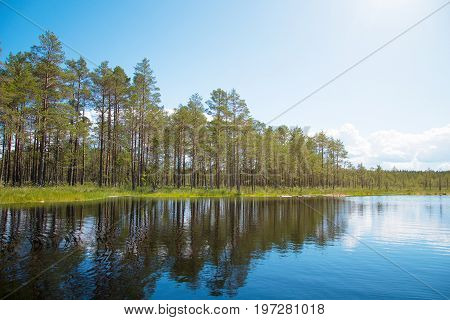 A Viru Raba Swamp Lake In Estonia.