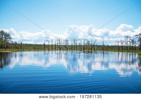 A Viru Raba Swamp Lake In Estonia.