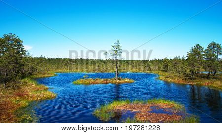 A Viru Raba Swamp Lake In Estonia.