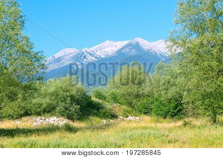 Summer panorama of georgeos Pirin mountains landscape with pine trees and high peaks, Bansko, Bulgaria